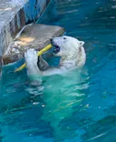 天王寺動物園に投稿された画像（2026/5/10）