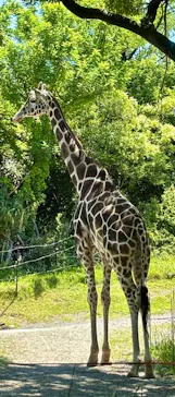 天王寺動物園に投稿された画像（2026/5/10）
