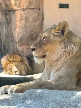 天王寺動物園に投稿された画像（2026/5/10）