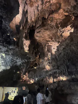 CAVE OKINAWAに投稿された画像（2026/5/10）