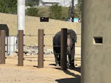 天王寺動物園に投稿された画像（2026/5/10）