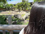 天王寺動物園に投稿された画像（2026/5/10）