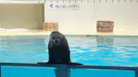伊豆・三津シーパラダイスに投稿された画像（2026/5/10）