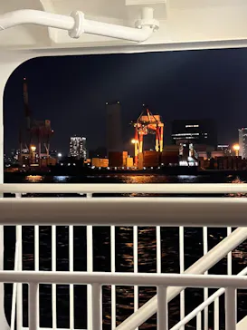 東京湾夜景クルーズ＜横浜港→東京（竹芝桟橋）＞に投稿された画像（2026/5/10）