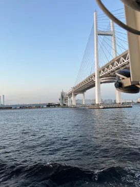 東京湾夜景クルーズ＜横浜港→東京（竹芝桟橋）＞に投稿された画像（2026/5/10）