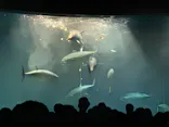 葛西臨海水族園に投稿された画像（2026/5/10）