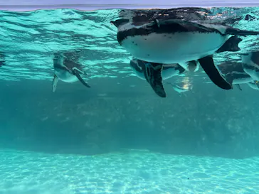 葛西臨海水族園に投稿された画像（2026/5/10）