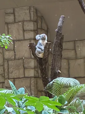 名古屋市東山動植物園に投稿された画像（2026/5/10）