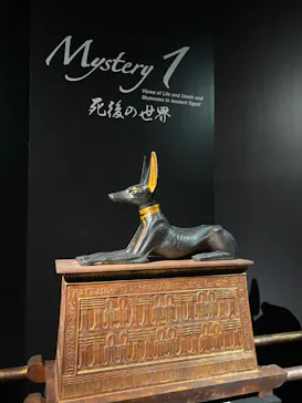 MYSTERY OF TUTANKHAMEN 体感型古代エジプト展に投稿された画像（2026/5/10）