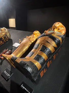MYSTERY OF TUTANKHAMEN 体感型古代エジプト展に投稿された画像（2026/5/10）