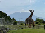 鹿児島市平川動物公園に投稿された画像（2026/5/11）