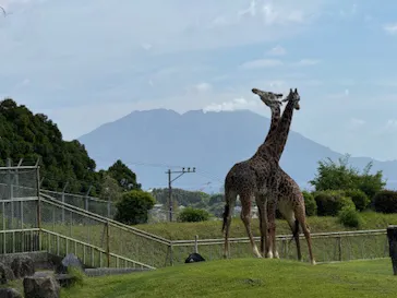 鹿児島市平川動物公園に投稿された画像（2026/5/10）