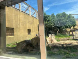 東武動物公園に投稿された画像（2026/5/10）