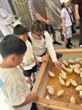 しろとり動物園に投稿された画像（2026/5/11）