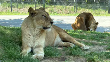 秋吉台自然動物公園 サファリランドに投稿された画像（2026/5/10）