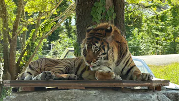 秋吉台自然動物公園 サファリランドに投稿された画像（2026/5/10）