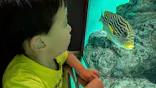 葛西臨海水族園に投稿された画像（2026/5/11）