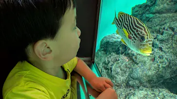 葛西臨海水族園に投稿された画像（2026/5/11）