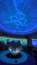 新江ノ島水族館に投稿された画像（2026/5/11）