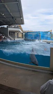 新江ノ島水族館に投稿された画像（2026/5/11）
