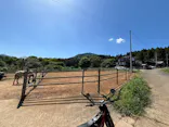 風来里（ふらり）馬小屋に投稿された画像（2026/5/11）