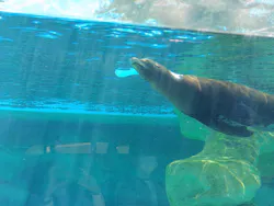 天王寺動物園に投稿された画像（2026/5/11）