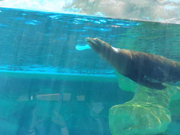 天王寺動物園に投稿された画像（2026/5/11）
