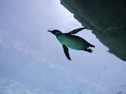 天王寺動物園に投稿された画像（2026/5/11）