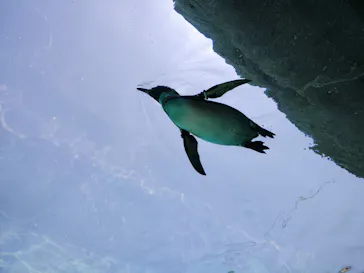 天王寺動物園に投稿された画像（2026/5/11）