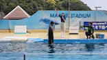 下田海中水族館に投稿された画像（2026/5/11）