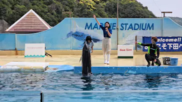 下田海中水族館に投稿された画像（2026/5/11）