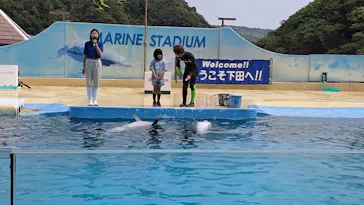 下田海中水族館に投稿された画像（2026/5/11）