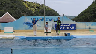 下田海中水族館に投稿された画像（2026/5/11）