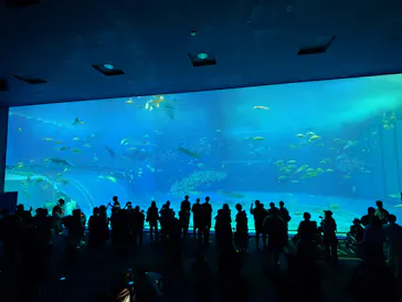 沖縄美ら海水族館に投稿された画像（2026/5/11）