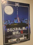 東京湾夜景クルーズ＜横浜港→東京（竹芝桟橋）＞に投稿された画像（2026/5/11）
