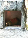 名古屋市東山動植物園に投稿された画像（2026/5/11）
