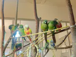 Moff animal cafe イオンモール幕張新都心店に投稿された画像（2026/5/11）