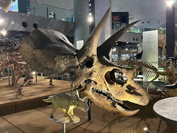 福井県立恐竜博物館に投稿された画像（2026/5/11）