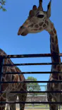 宇都宮動物園に投稿された画像（2026/5/11）