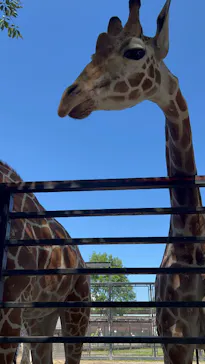 宇都宮動物園に投稿された画像（2026/5/11）