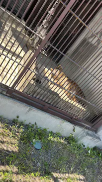 宇都宮動物園に投稿された画像（2026/5/11）