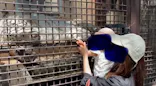 宇都宮動物園に投稿された画像（2026/5/11）
