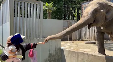 宇都宮動物園に投稿された画像（2026/5/11）