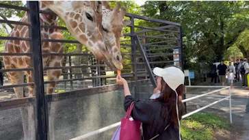 宇都宮動物園に投稿された画像（2026/5/11）