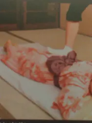 小田原お堀端 万葉の湯に投稿された画像（2026/5/11）