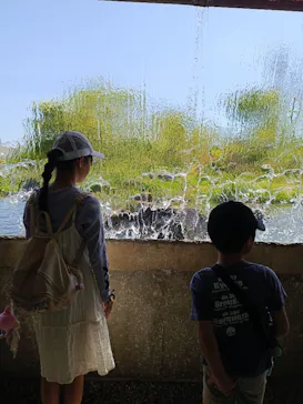 環境水族館アクアマリンふくしまに投稿された画像（2026/5/11）