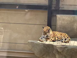 東武動物公園に投稿された画像（2026/5/11）