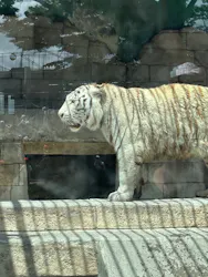 東武動物公園に投稿された画像（2026/5/11）