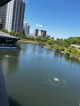 しながわ水族館に投稿された画像（2026/5/11）