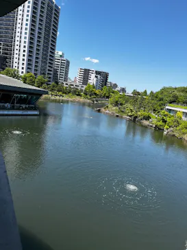 しながわ水族館に投稿された画像（2026/5/11）